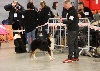  - Exposition canine nationale du Mans
