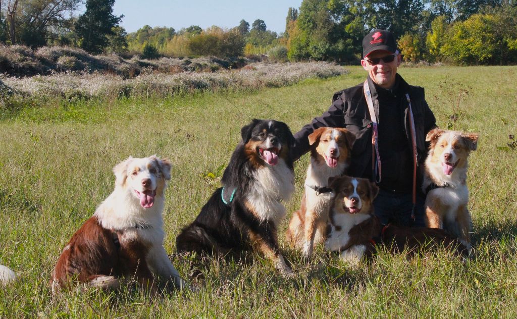 des aussies de la haye - Balade avec Thaïko, Tanka, Perceval, Obsi et Sheyenne